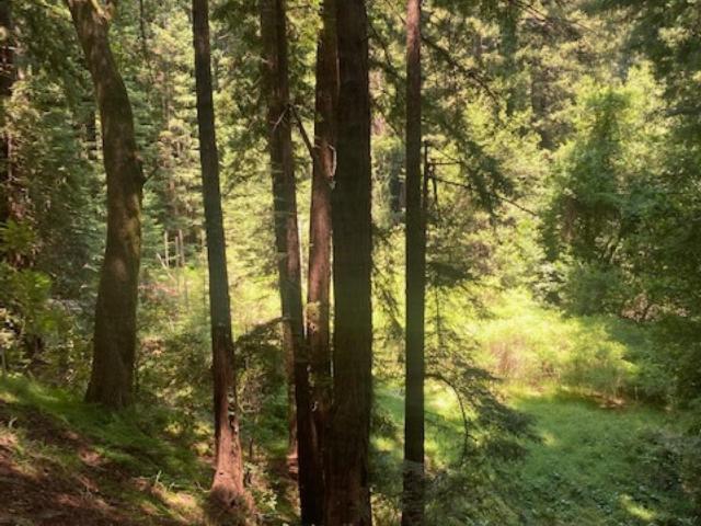 Land for sale in Mill Valley, California