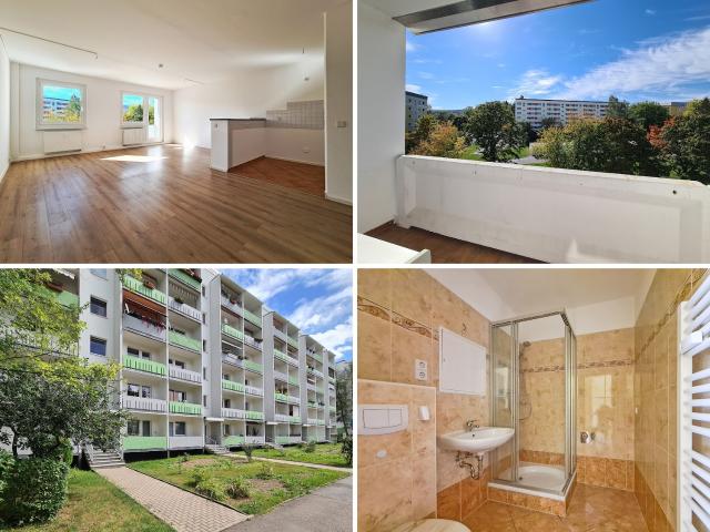Apartment mieten in Plaue, Flöha