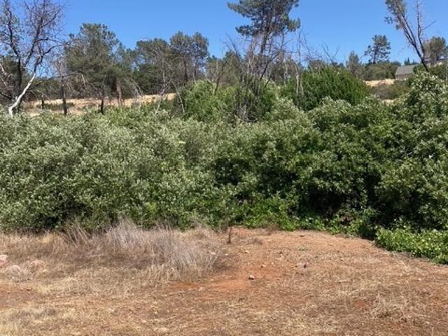 Land for sale in Paradise