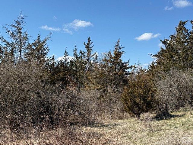 Land for sale in Amenia, New York