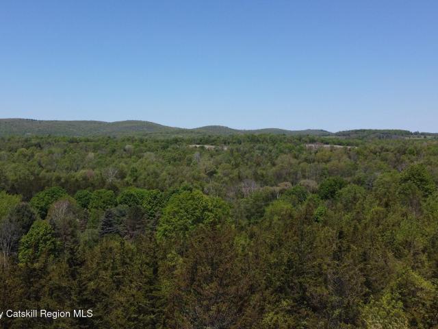 Land for sale in Amenia, New York