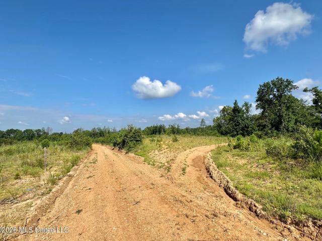 Land for sale in Mantee, Mississippi