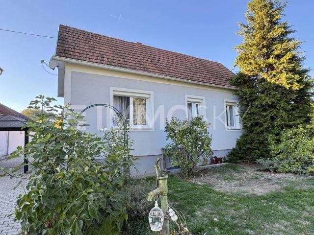 Haus kaufen in Güttenbach/Pinkovac, Bezirk Güssing