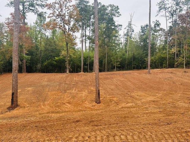 Land for sale in Abbeville, Henry County