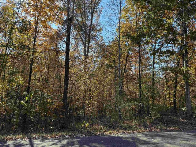 Land for sale in Tennessee