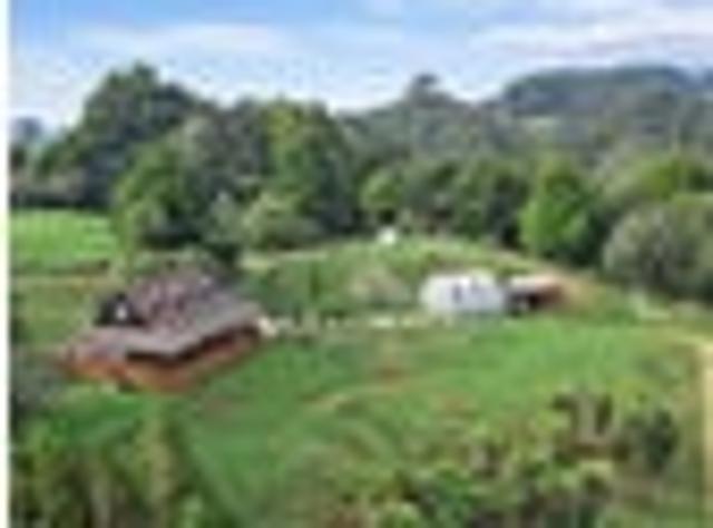 Land for sale in Waikino, Waikato