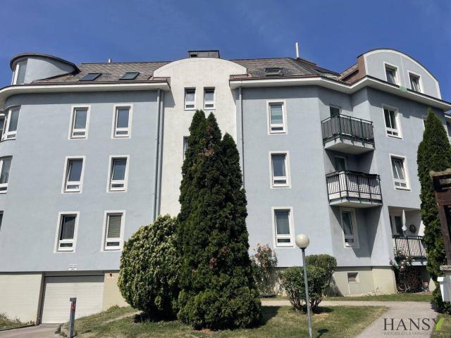 Apartment kaufen in Baden, Niederösterreich