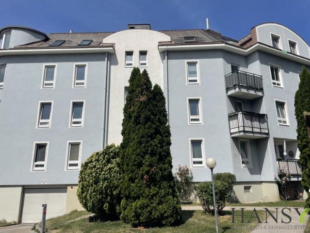 Erdgeschosswohnung kaufen in Baden, Niederösterreich
