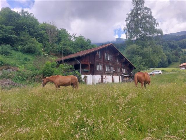 Wohnung mieten in Hasliberg, Bern
