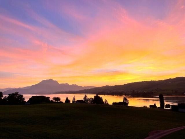 Wohnung mieten in Küssnacht am Rigi, Schwyz