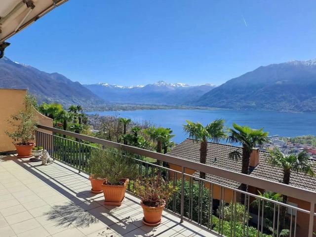 Wohnung mieten in Locarno, Tessin