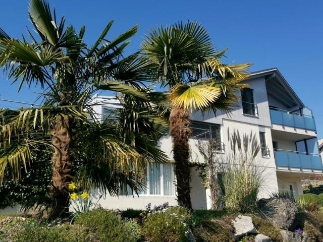 Wohnung mieten in Sumpf, Küssnacht (SZ)