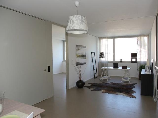 Apartment mieten in Einigen, Zürich
