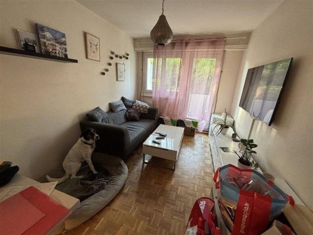 Apartment mieten in Le Grand-Saconnex