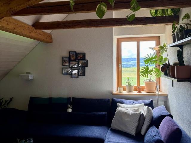 Apartment mieten in Wetzikon (ZH), Zürich