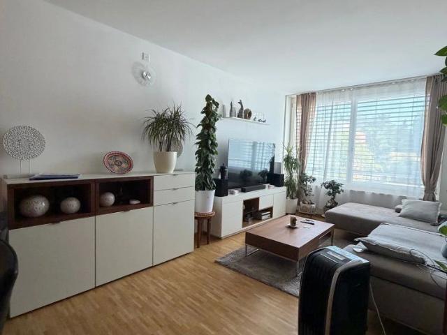 Haus mieten in Aarau, Aargau