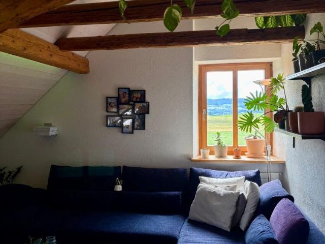 Apartment mieten in Wetzikon (ZH), Zürich