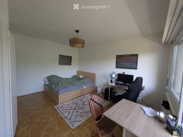 Apartment mieten in Meyrin