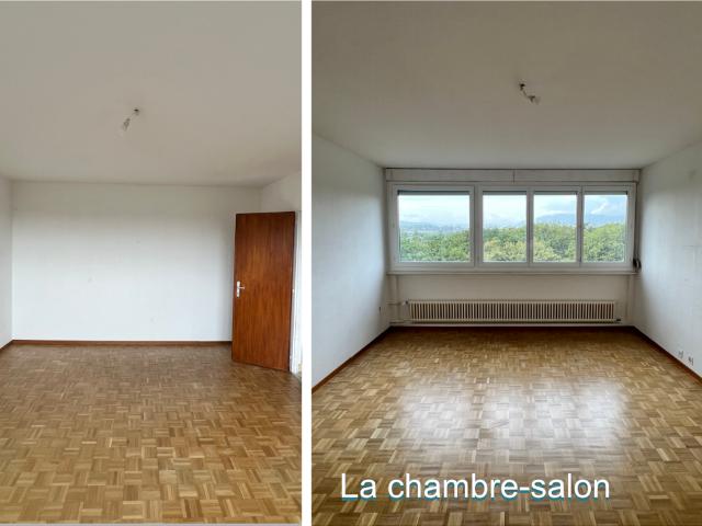 Studio mieten in Onex