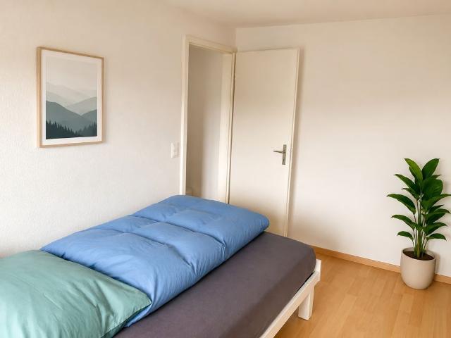 Haus mieten in Dottikon, Aargau