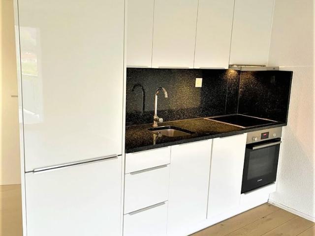 Apartment mieten in Reinach (AG), Aargau