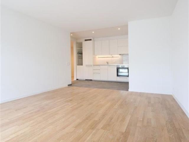 Apartment mieten in Einigen, Zürich