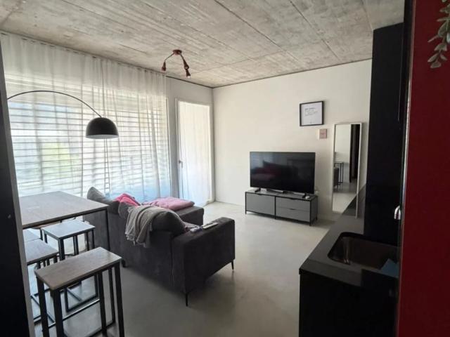Apartment mieten in Carasso, Bellinzona