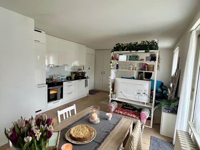 Apartment mieten in Härti, Winterthur