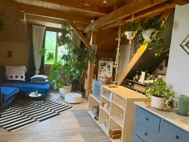 Apartment mieten in Hadlikon, Hinwil