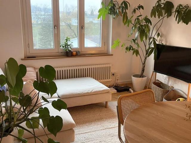 Haus mieten in Lü