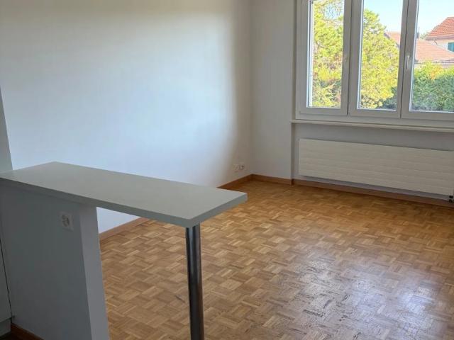 Apartment mieten in Bourg, Le Landeron