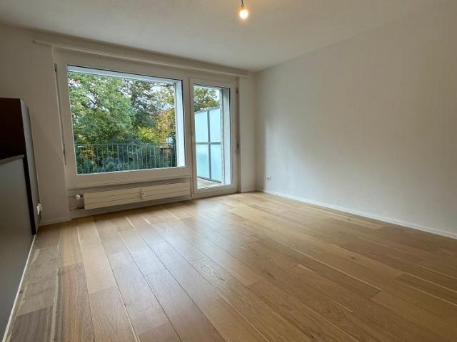 Apartment mieten in Frauenfeld, Thurgau