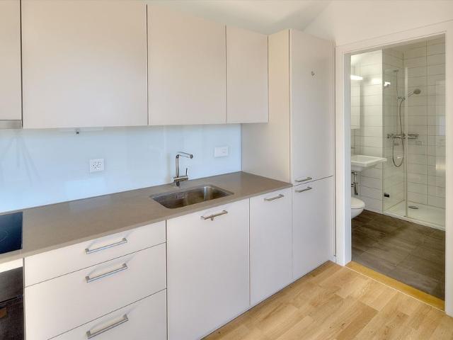Apartment mieten in Roggwil (BE), Verwaltungsregion Emmental-Oberaargau