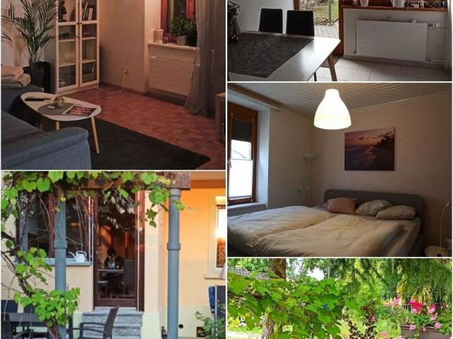 Apartment mieten in Birsfelden, Basel-Landschaft
