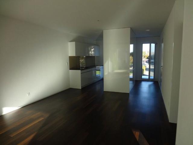 Apartment mieten in Oensingen, Solothurn