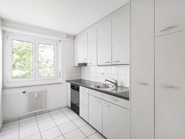 Apartment mieten in Birsfelden, Basel-Landschaft