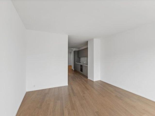 Haus mieten in Locarno, Tessin