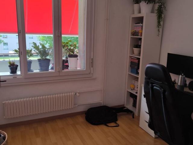 Apartment mieten in Estavayer-le-Lac, Freiburg