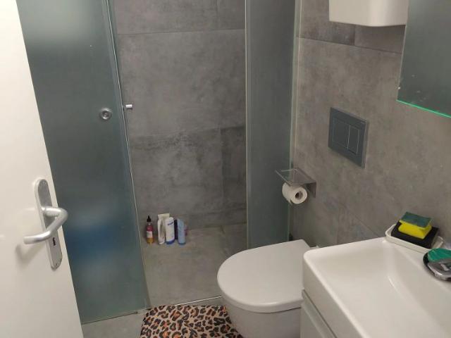 Apartment mieten in Vevey, Waadt