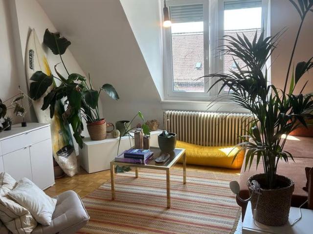 Apartment mieten in Gewerbeschule, Zürich