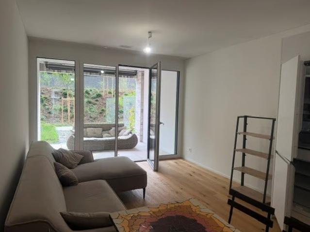 Apartment mieten in Wädenswil, Zürich