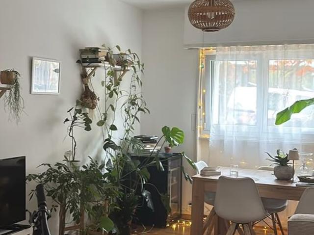 Apartment mieten in Lausanne, District de Lausanne