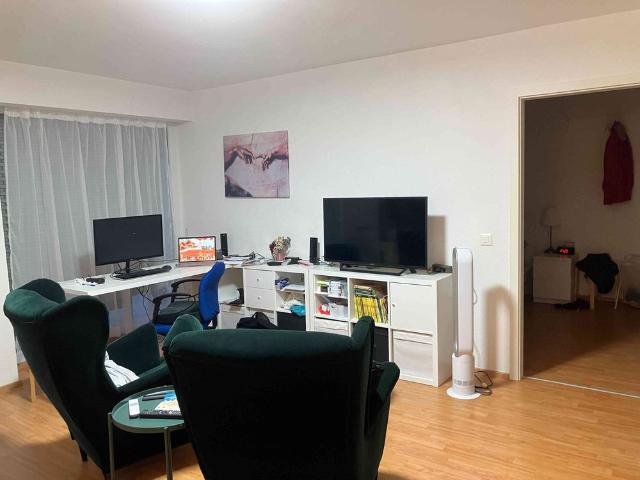 Apartment mieten in Einigen, Zürich