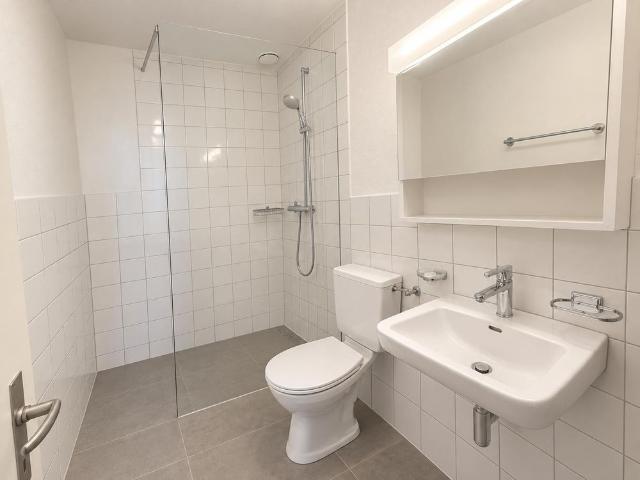 Apartment mieten in Emmersberg, Schaffhausen
