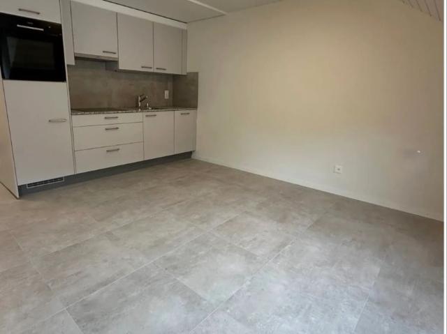 Apartment mieten in Neuchâtel, Corcelles (NE)
