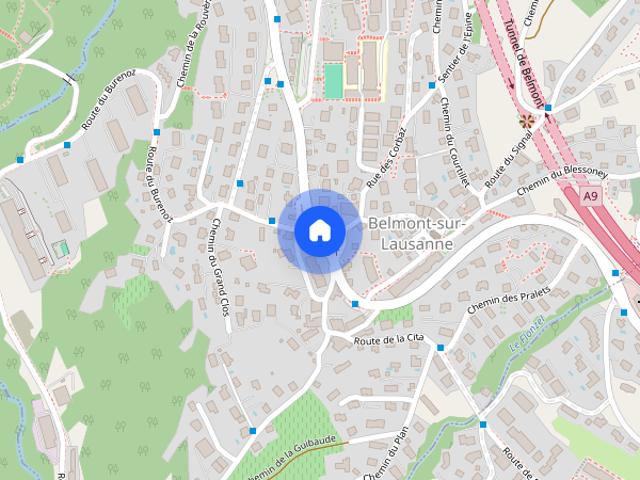 Apartment mieten in Belmont-sur-Lausanne, Waadt