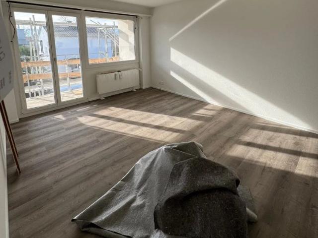 Haus mieten in Reinach (BL), Basel-Landschaft