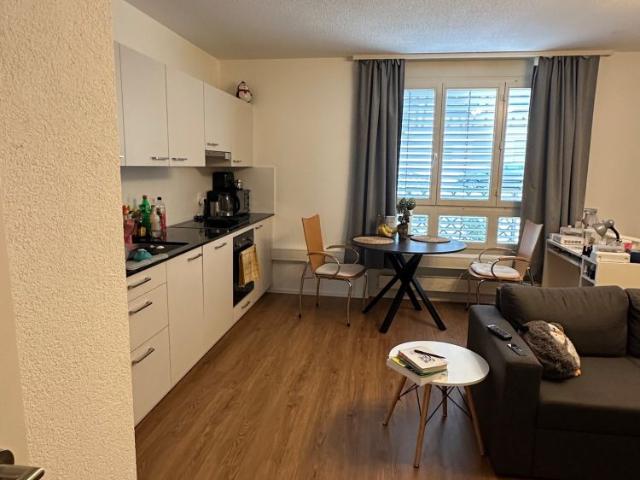 Apartment mieten in Affeltrangen, Thurgau