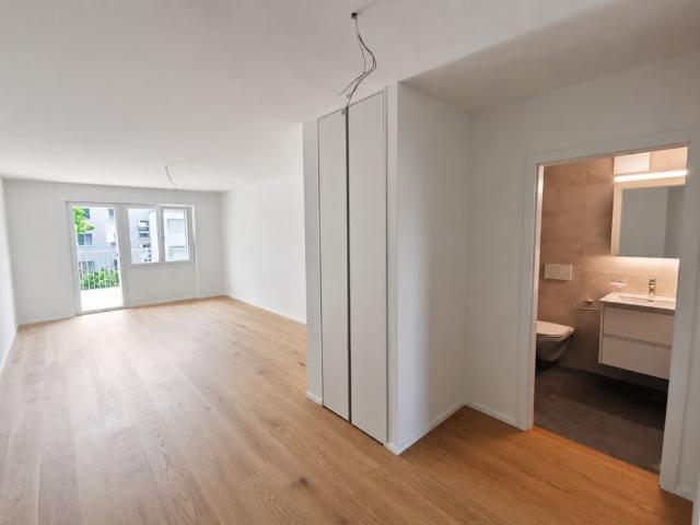 Apartment mieten in Oberengstringen, Zürich