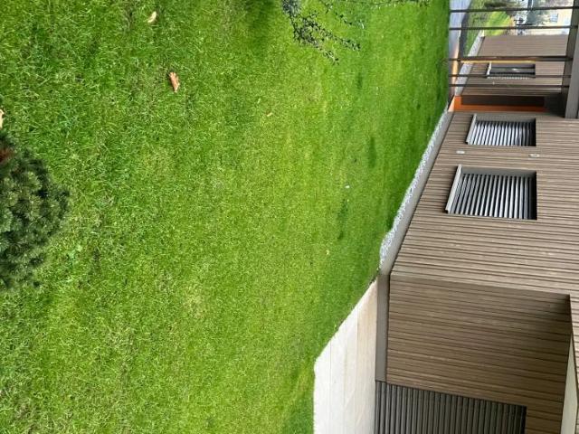 Apartment mieten in Lü